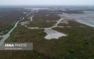 کنترل فرسایش و رسوب تالاب انزلی در ۱۱ حوضه آبریز/ لزوم مدیریت سیلاب با آبخیزداری