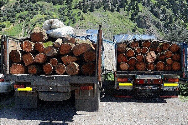 کشف ۱۱۰ میلیونی چوب های جنگلی قاچاق در رودسر