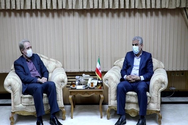 بیمه فراگیر در چای با محوریت صندوق توسعه چای اجرایی می شود