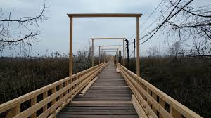 بندر کیاشهر به شبکه جهانی شهرهای تالابی پیوست