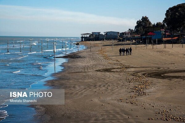 مهلت ۱۰ روزه برای جمع آوری فنس‌های مجتمع صداوسیما در ساحل زیباکنار/ منطقه نظامی مستثنی است