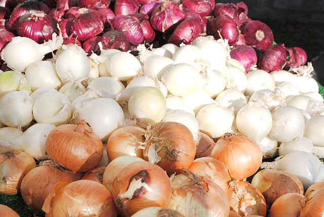 دلیل نوسان قیمت پیاز چیست؟/ نیازمند برنامه‌ریزی و سیاست‌گذاری مشخص هستیم