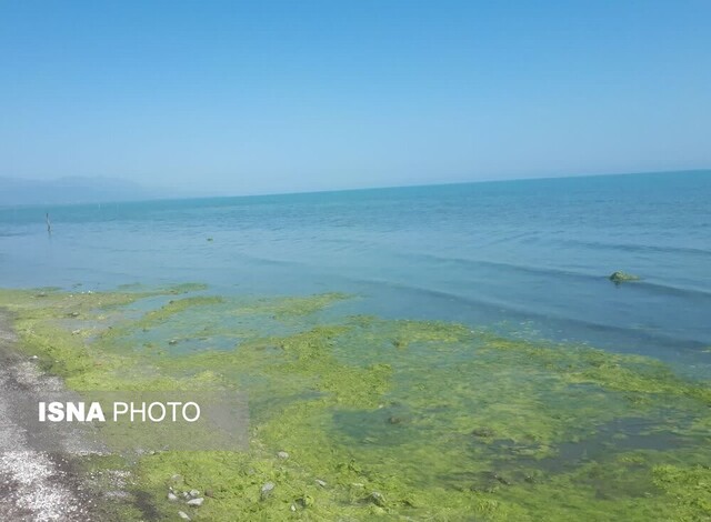 شناگاه‌های فاقد پرچم، آلوده به باکتری مدفوعی هستند/مستندات به مراجع متولی ارائه شده است