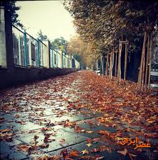 بارش باران در شرق کشور/ افزایش آلاینده‌های جوی در شهرهای صنعتی