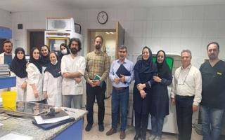 از بخش‌ها و واحدهای برتر مرکز آموزشی و درمانی 17 شهریور درحوزه ایمنی بیمار تقدیر شد.